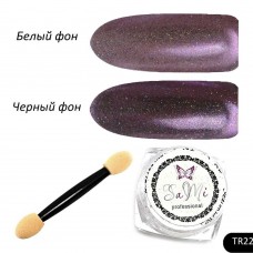  П09299 Пудра-втирка TR22 0,2гр 