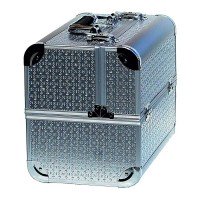 Ч24051 Валіза-кейс сріблястий з декором 740
